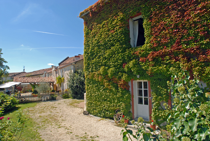 5818 - Champagne – Image 3