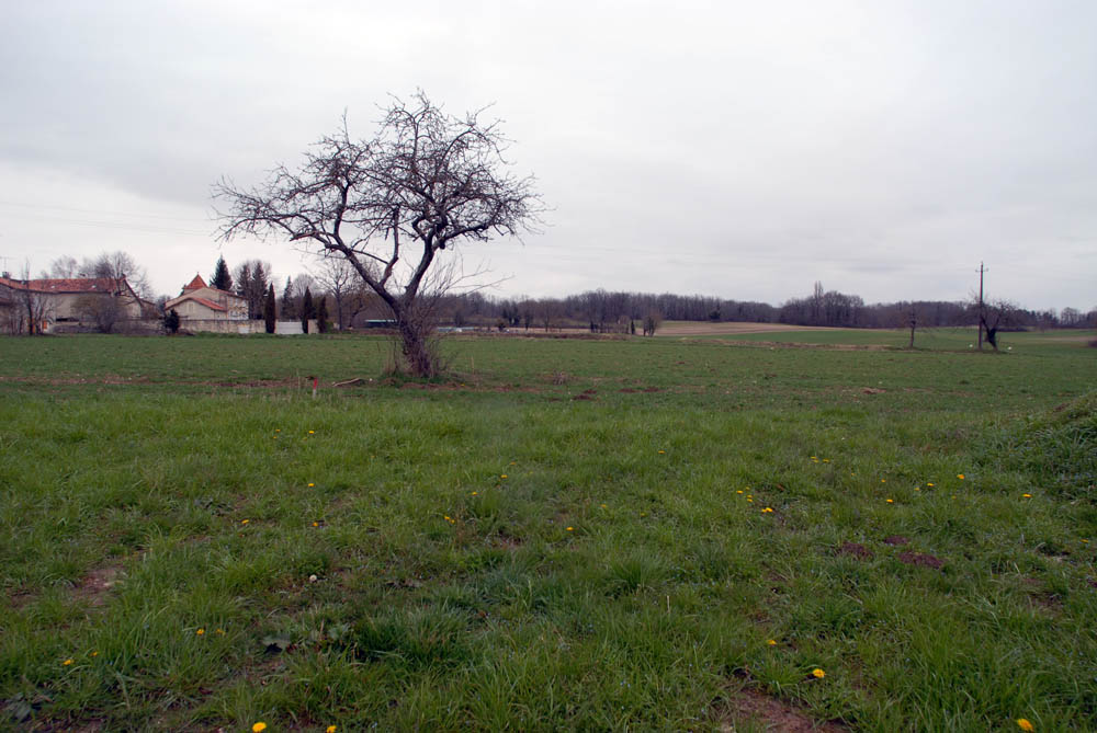 ref/chapdeu - La-Tour-Blanche – Image 3