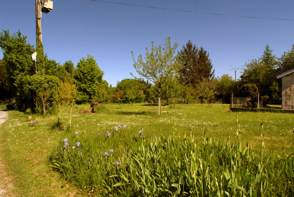 5998 - Tocane-St-Apre – Image 3