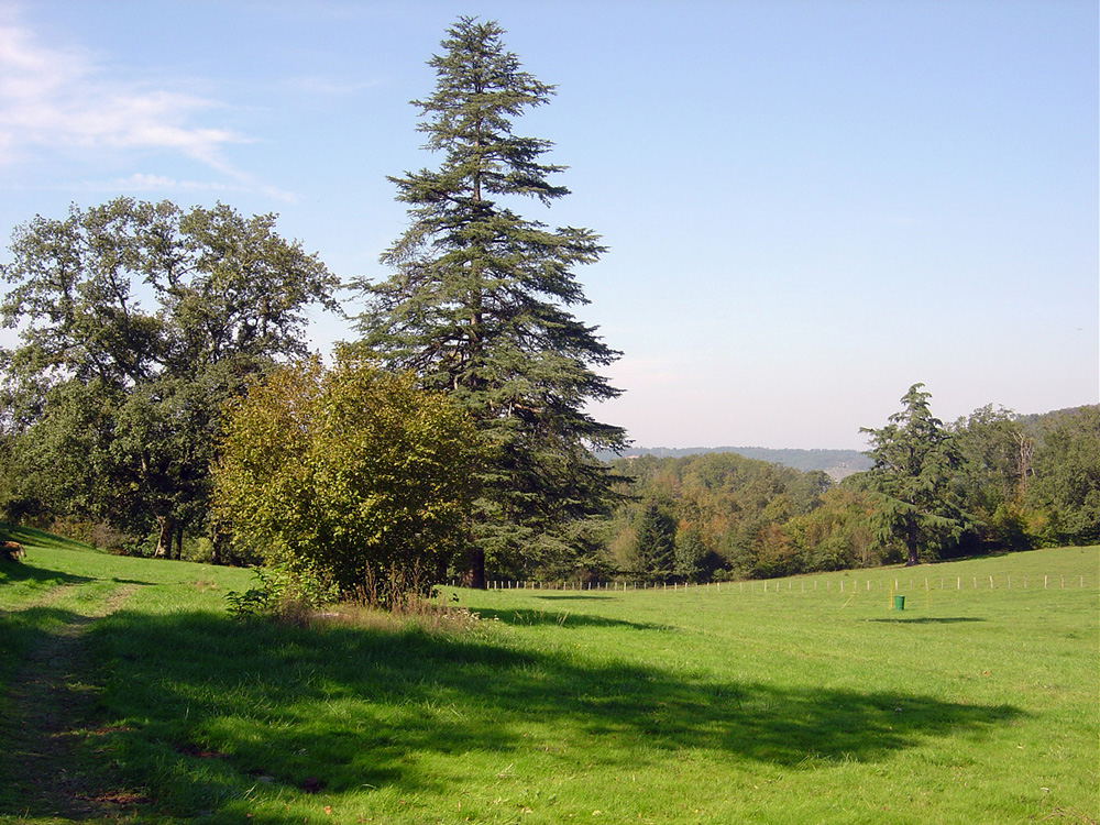 6013 - Villamblard – Image 3
