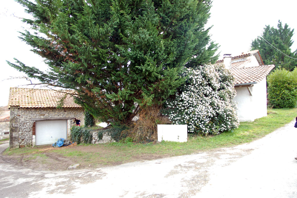 6064 - st sulpice de Roumagnac – Image 11