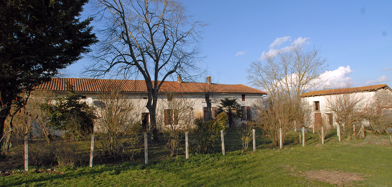 6299 - Saint Marti De Riberac