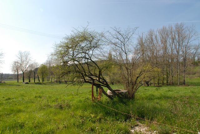 5385 - Riberac
