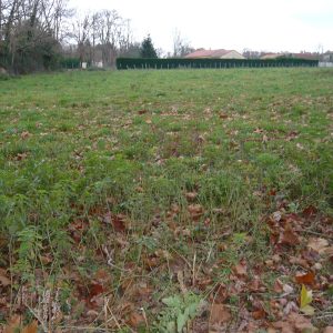 5461 - Riberac