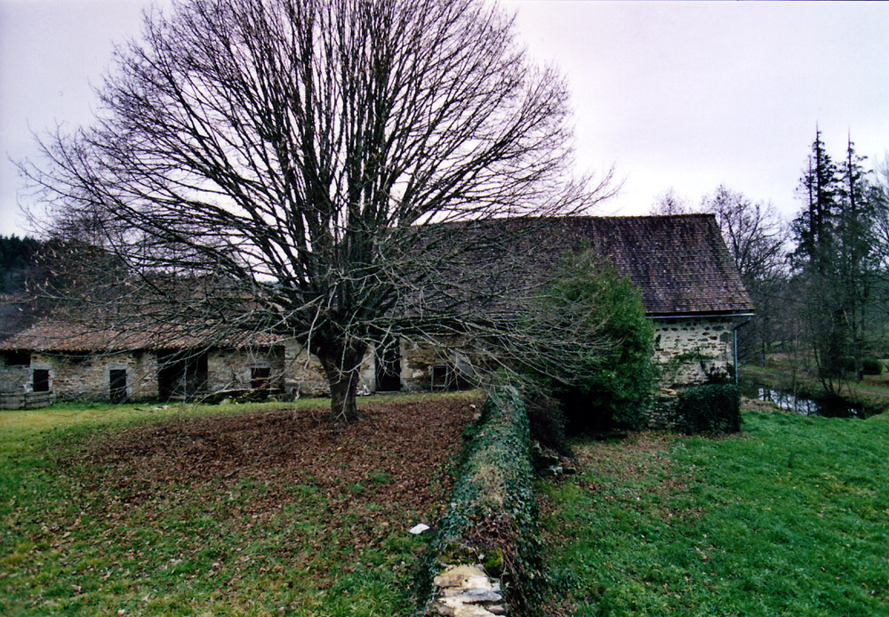 4363 - Limoges – Image 18
