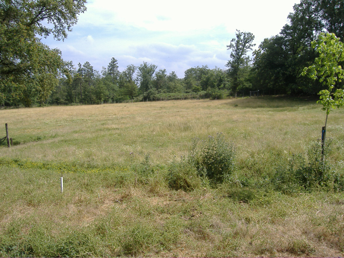 5021 - Montpon – Image 4