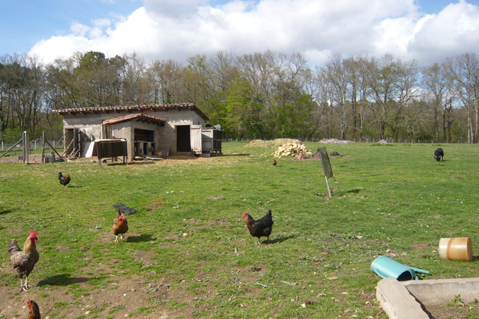 5733 - Riberac