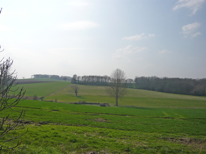 5742 - Aubeterre-sur-Dronne