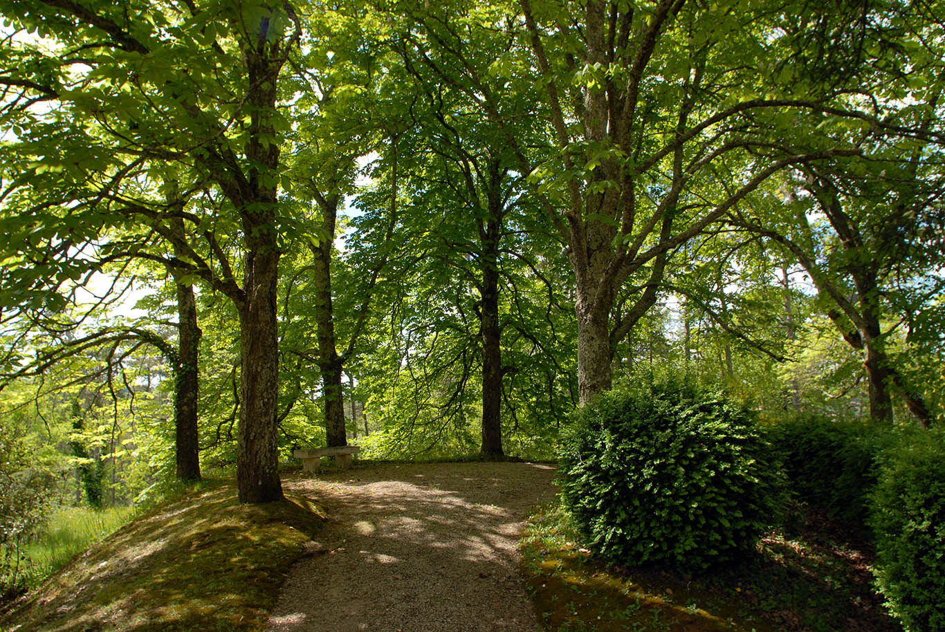 6106 - Vallée de L'Isle – Image 42
