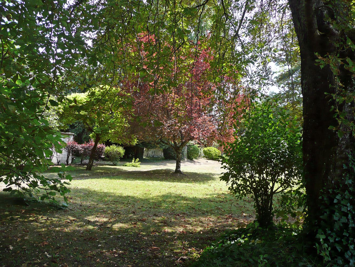 6106 - Vallée de L'Isle – Image 50