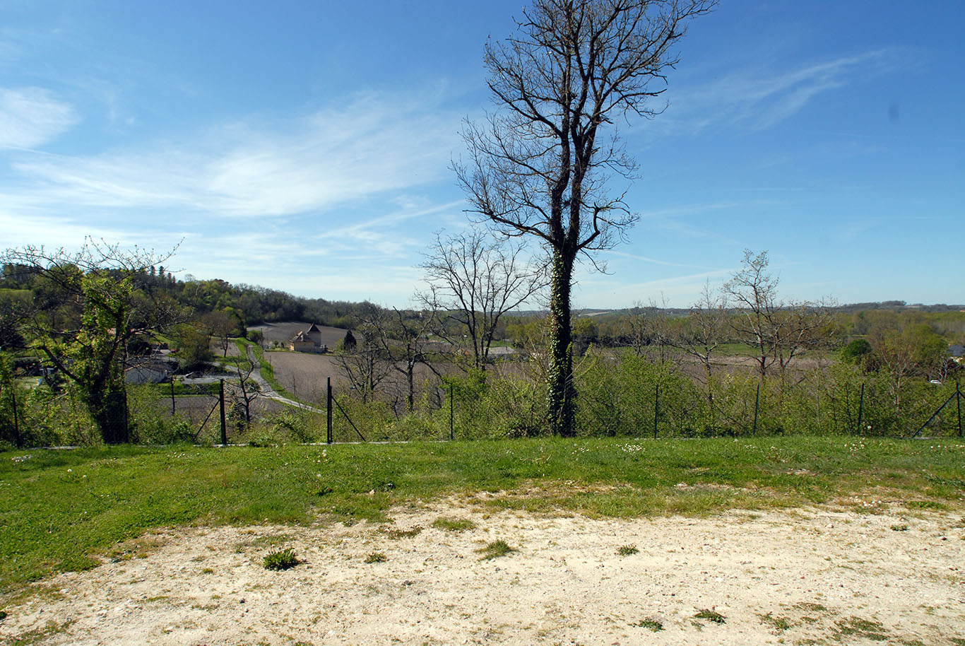 6103 - Ribéracois – Image 3