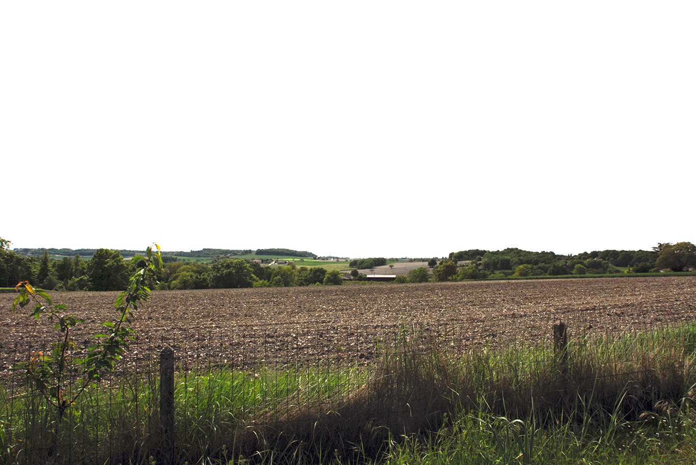 6115 - Riberac – Image 5