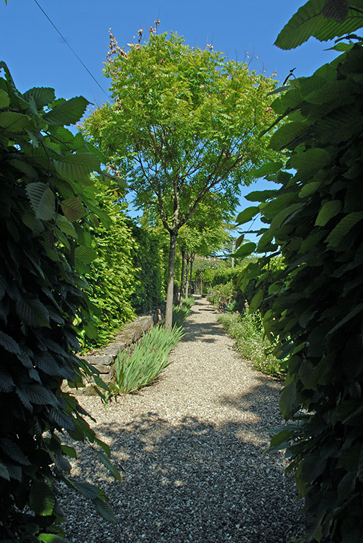 6356 - Brive – Image 56