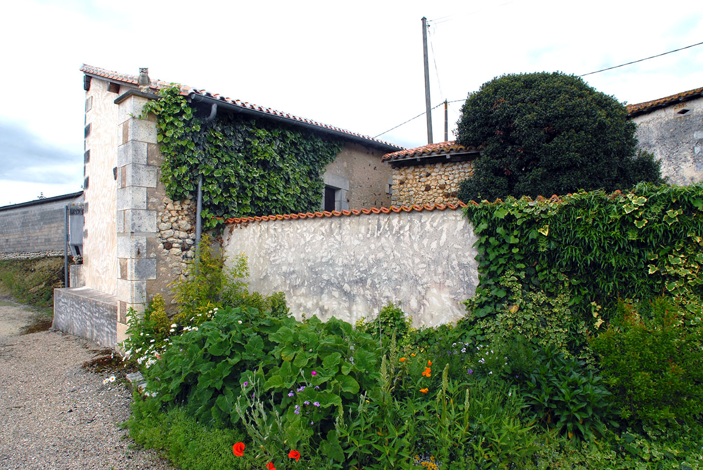 6125 - Aubeterre sur Dronne – Image 4