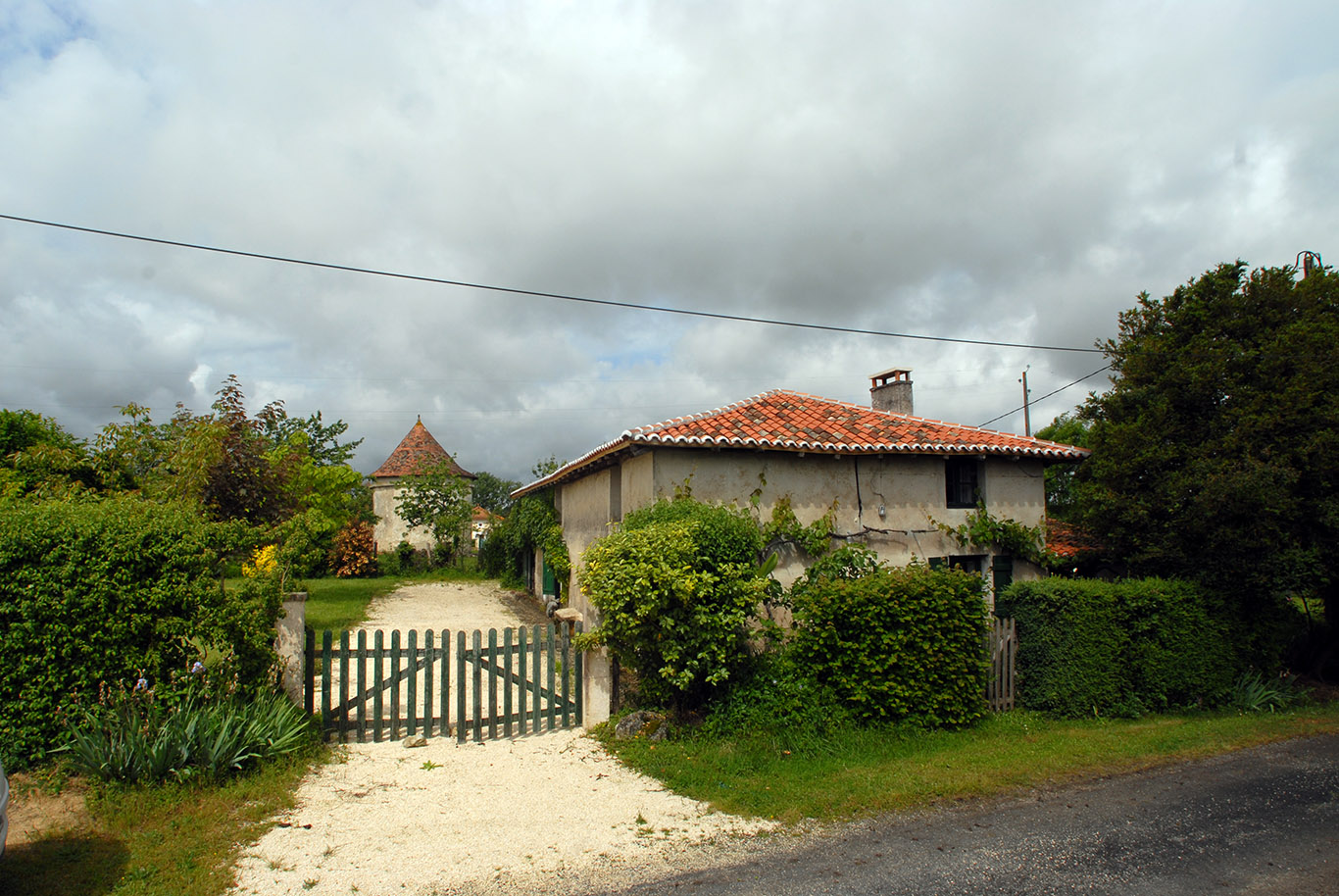 6126 - Ribéracois – Image 3