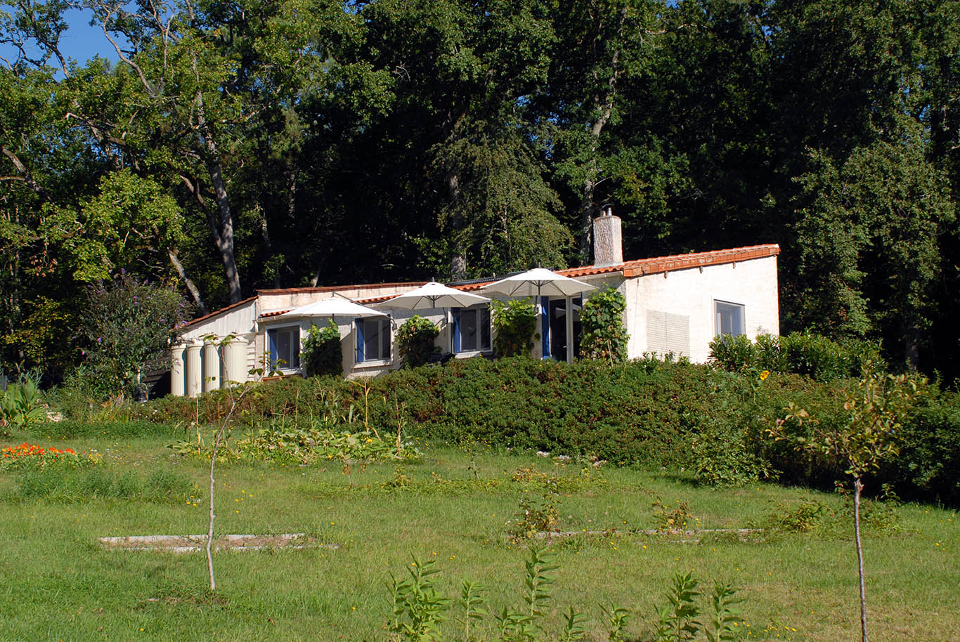 6155 - SAINT ASTIER – Image 3