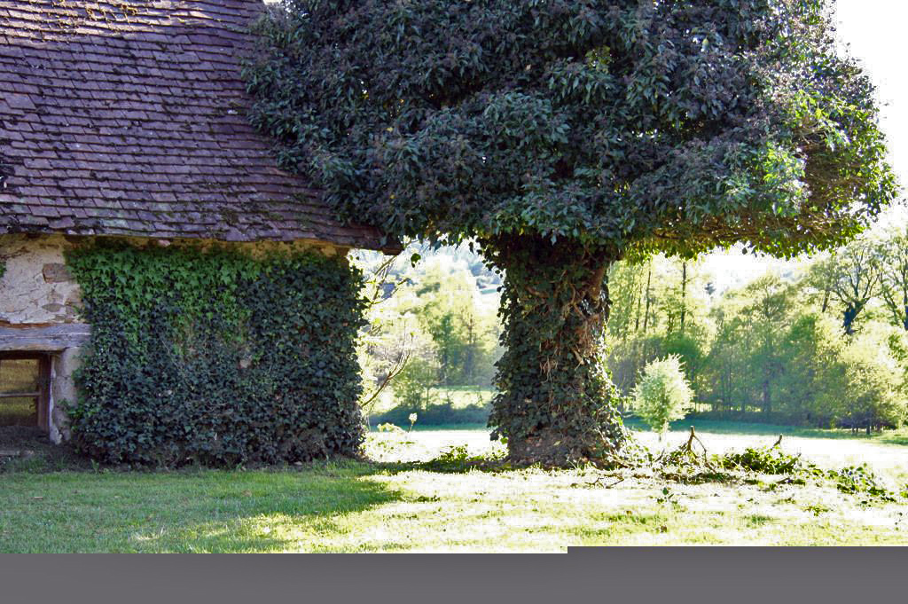 6182 - Jumilhac Le Grand – Image 7