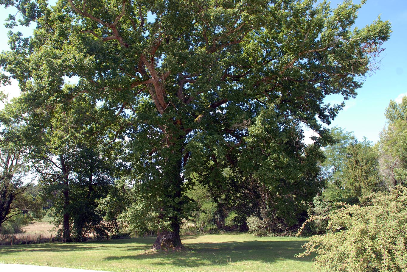 6217 - Saint André De Double – Image 10