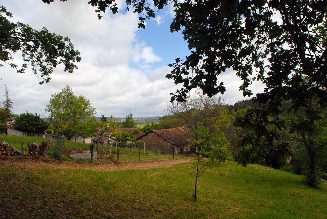 6387 - Sourzac – Image 13