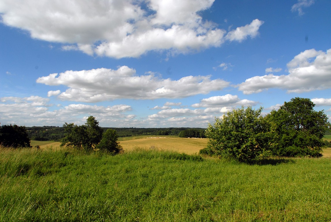 6262 - Mareuil – Image 7