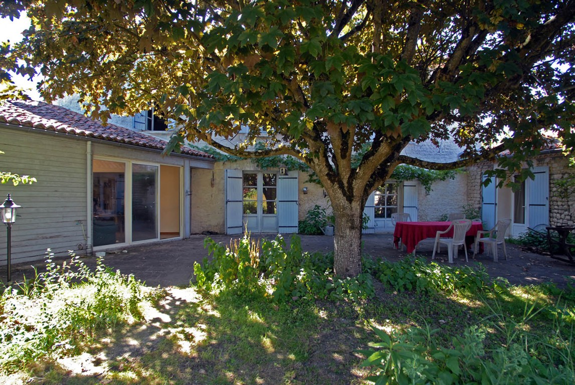 6264 - Saint Séverin – Image 20