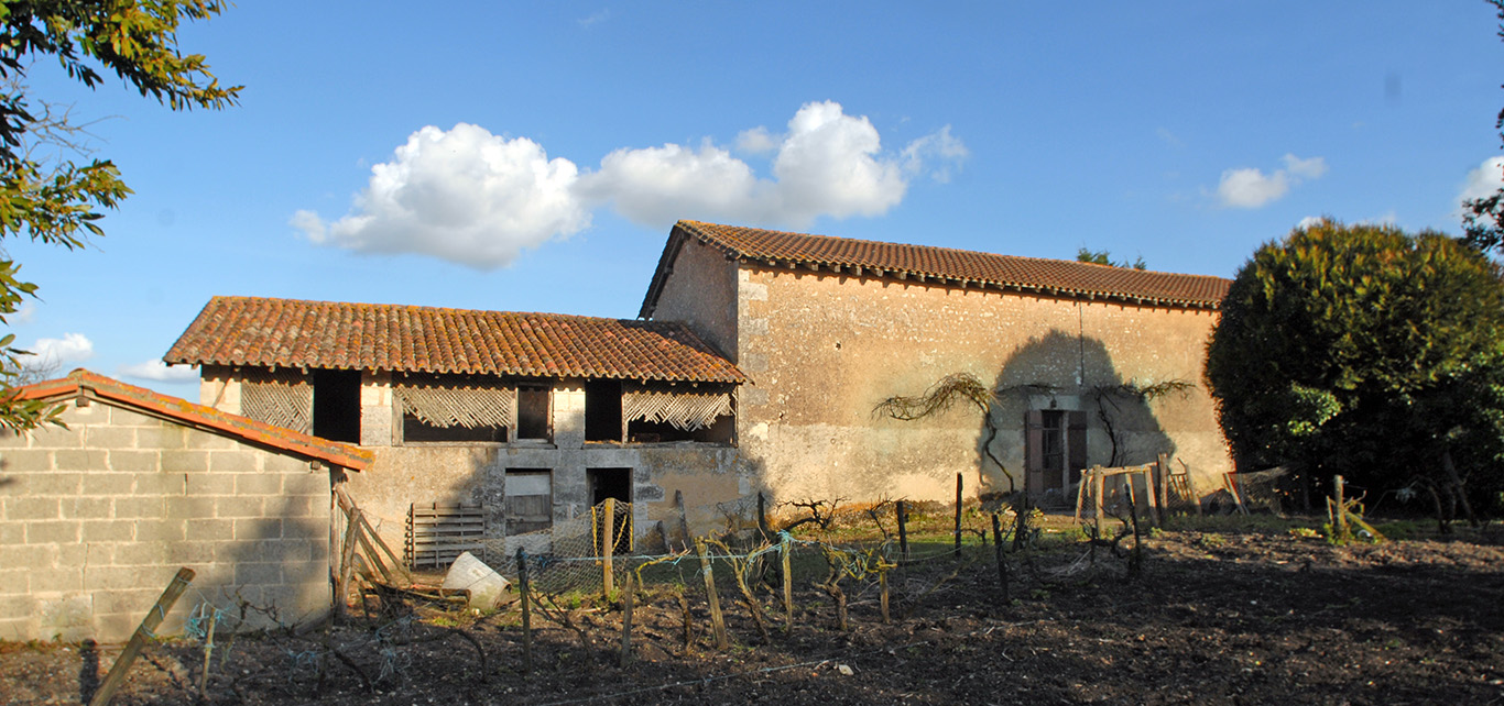 6299 - Saint Marti De Riberac – Image 4