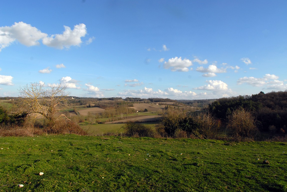 6299 - Saint Marti De Riberac – Image 6