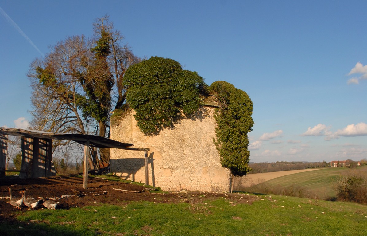 6299 - Saint Marti De Riberac – Image 7
