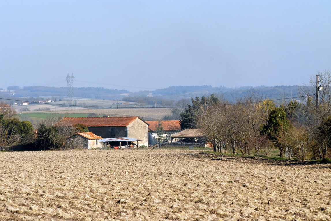 6299 - Saint Marti De Riberac – Image 9