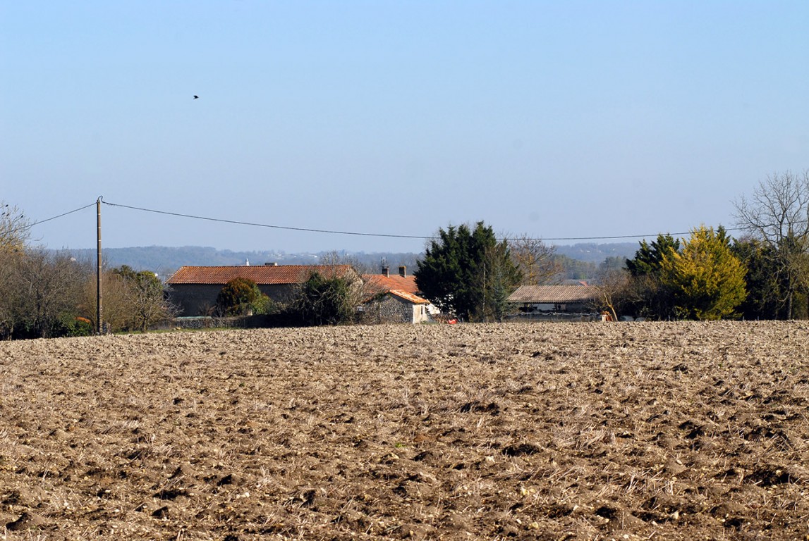 6299 - Saint Marti De Riberac – Image 10