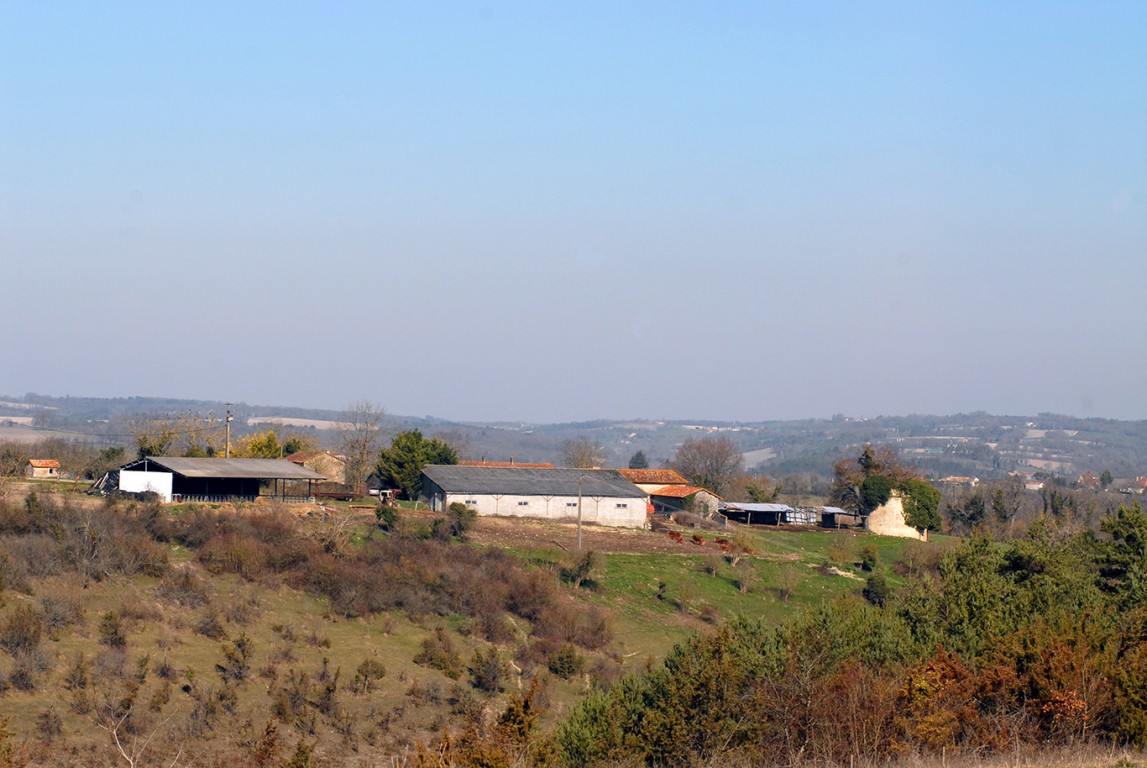 6299 - Saint Marti De Riberac – Image 11