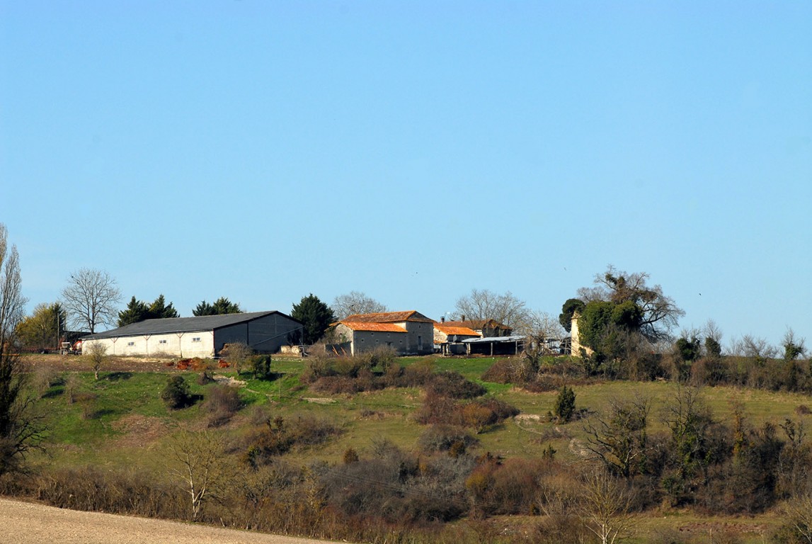 6299 - Saint Marti De Riberac – Image 12