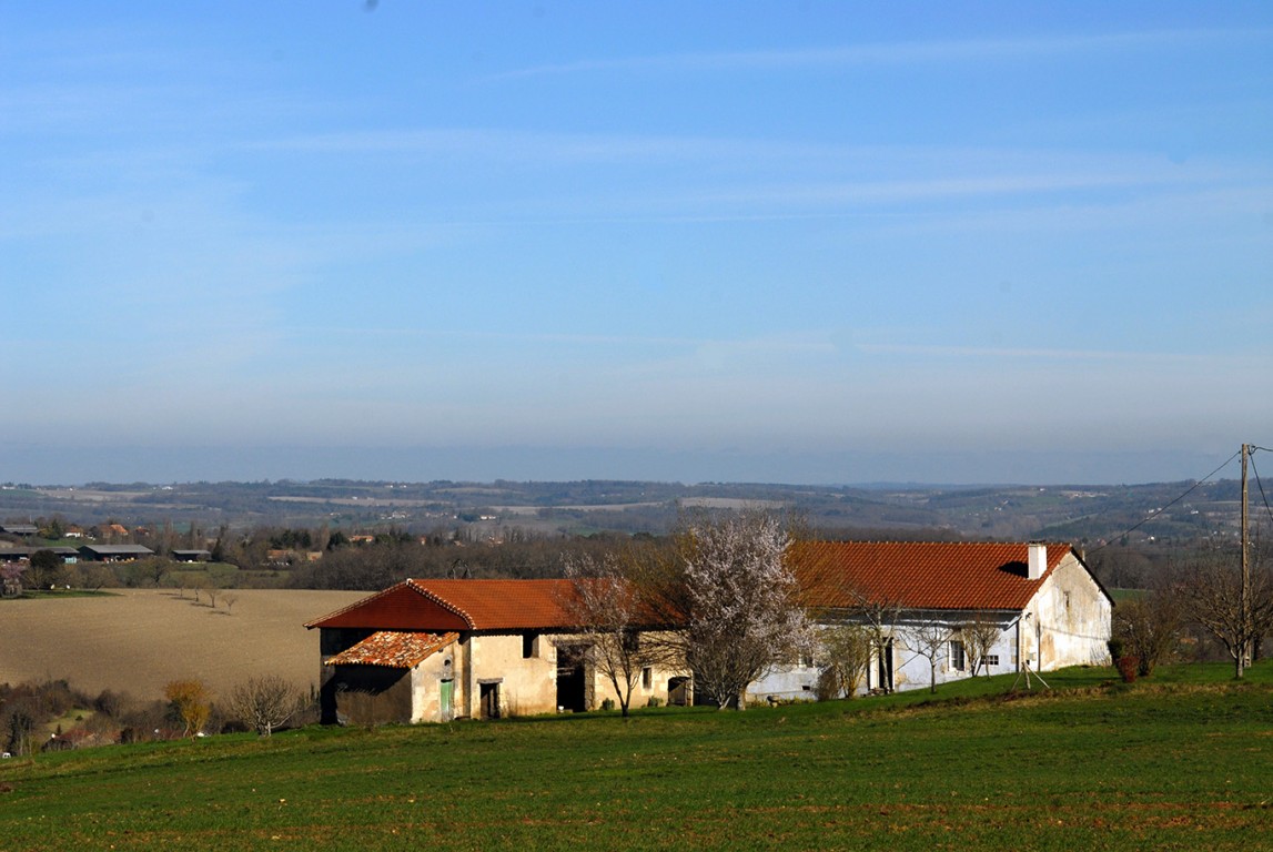 6302 - Riberac – Image 2