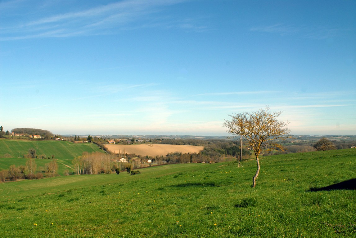 6302 - Riberac – Image 6