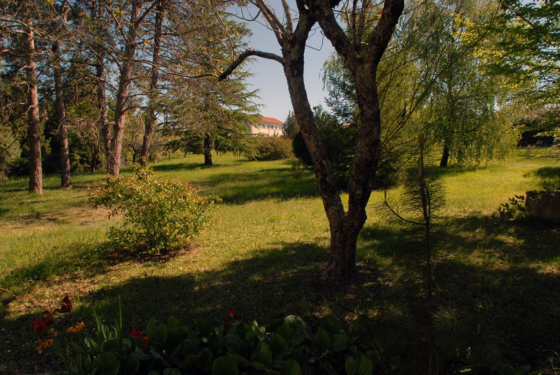 6316 - RIBERAC – Image 10
