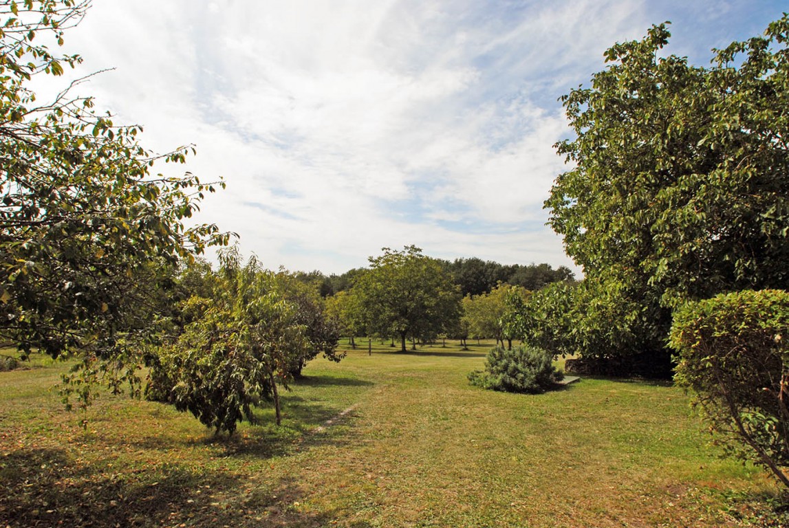 6343 - La Chapelle Montabourlet – Image 15