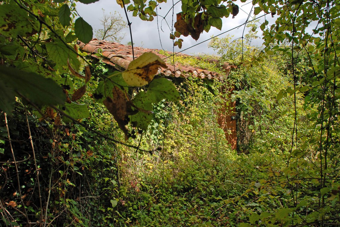 6347 - Saint Méard de Drone – Image 8