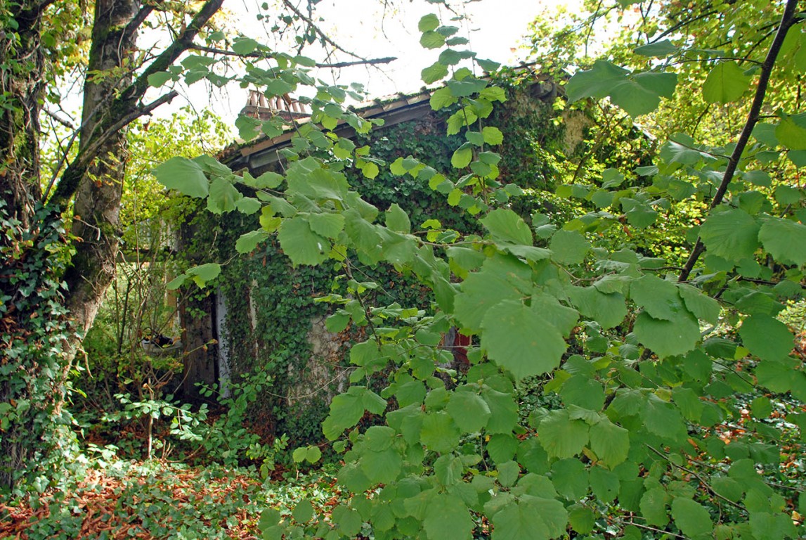 6347 - Saint Méard de Drone – Image 13