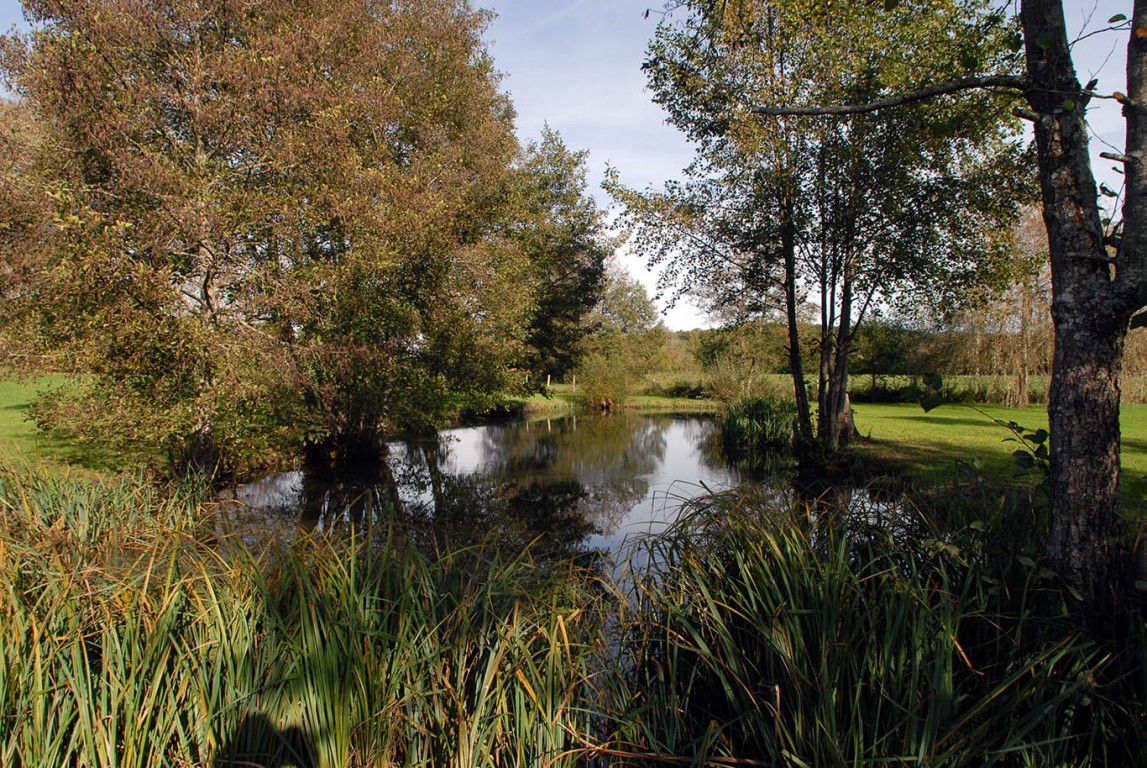 6360 - Saint Crépin de Richemont – Image 10