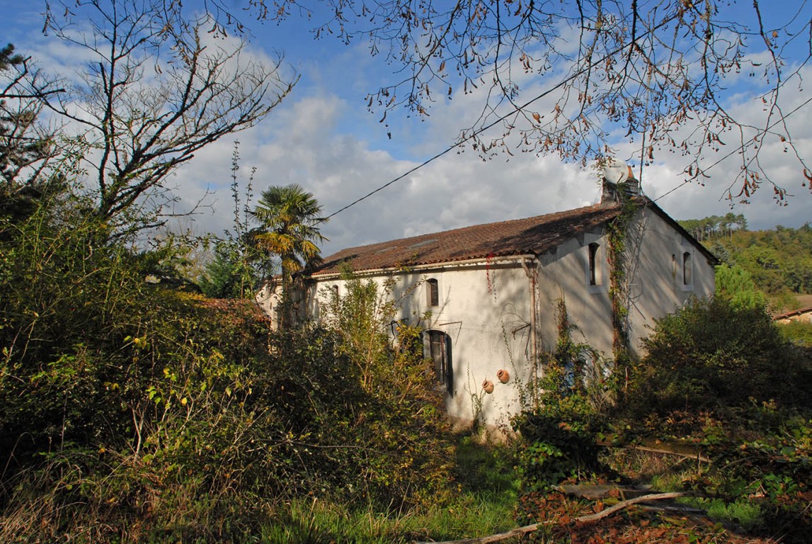 6365 - Sourzac – Image 6