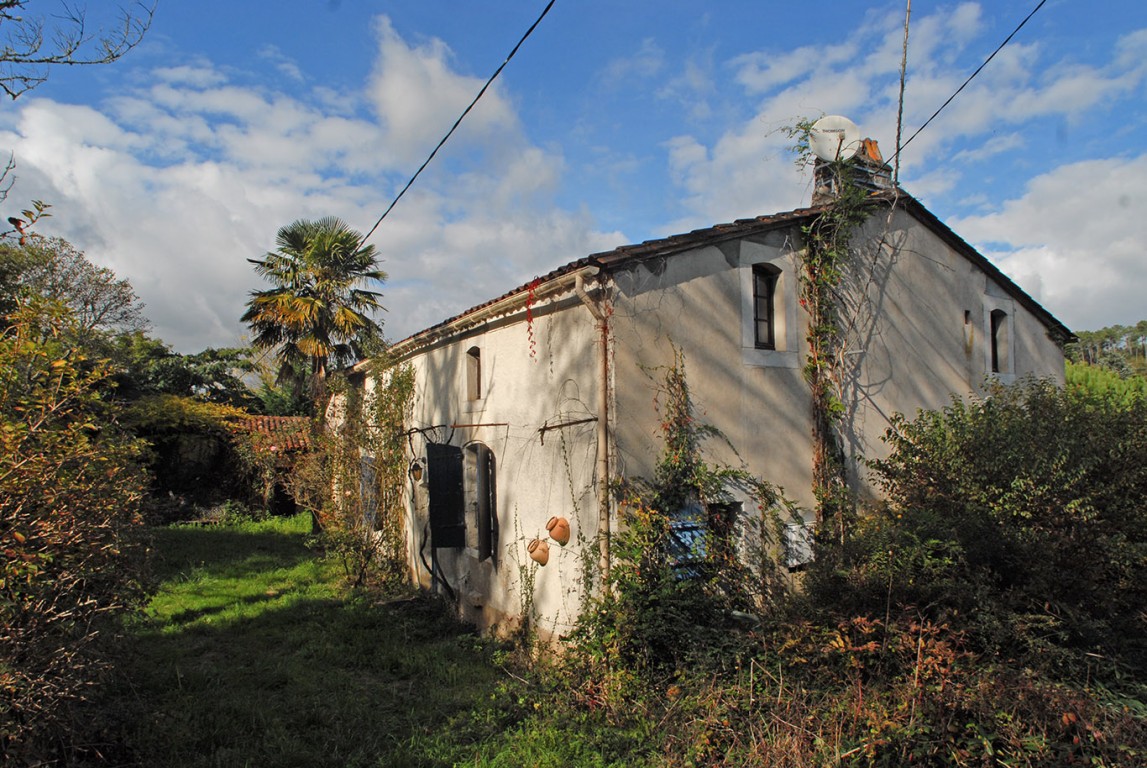 6365 - Sourzac – Image 7