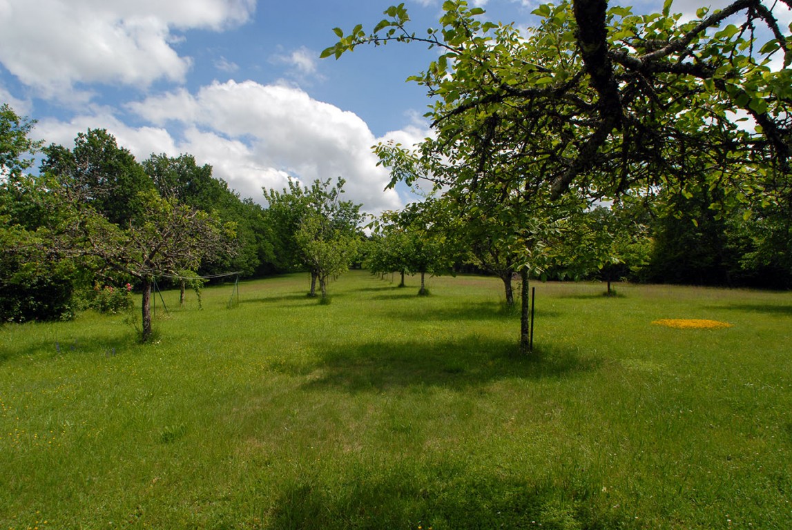 6402 - Celles – Image 15