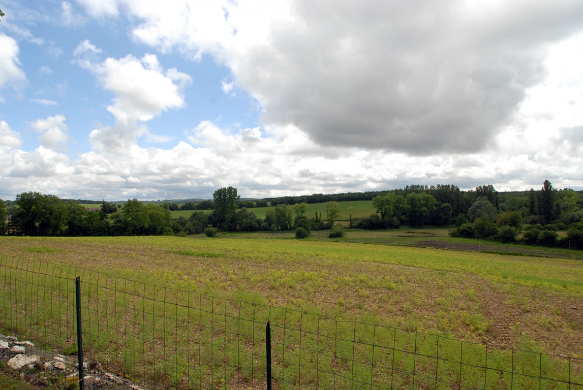6405 - La Tour Blanche – Image 14