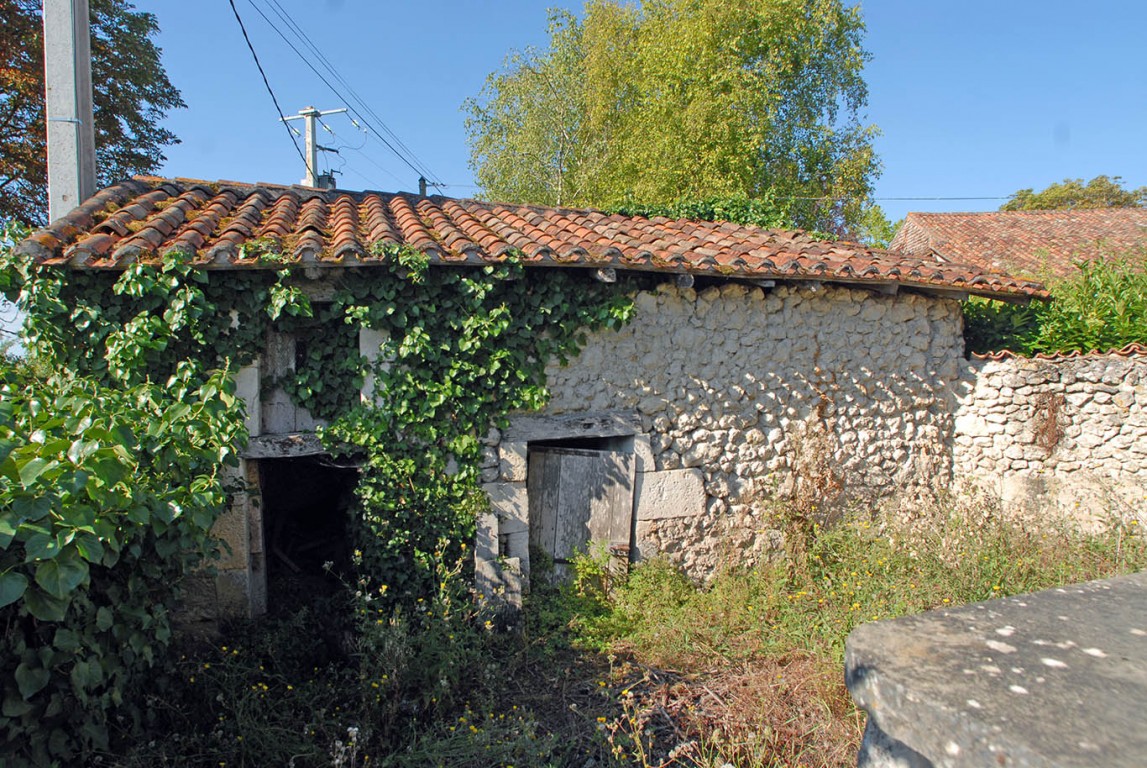 6421 - Saint Séverin – Image 6