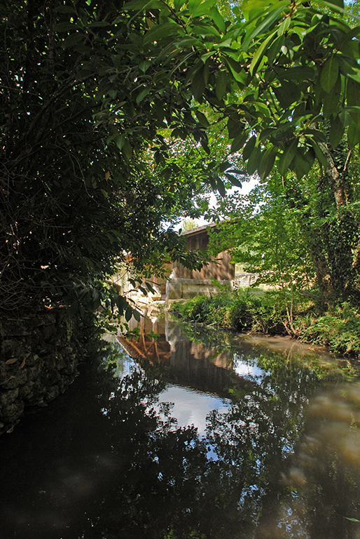 6423 - Mareuil en Périgord – Image 14