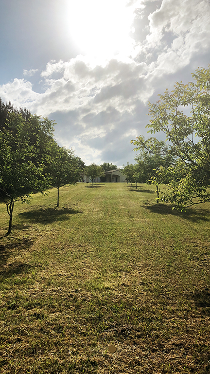 6440 - Celles – Image 17