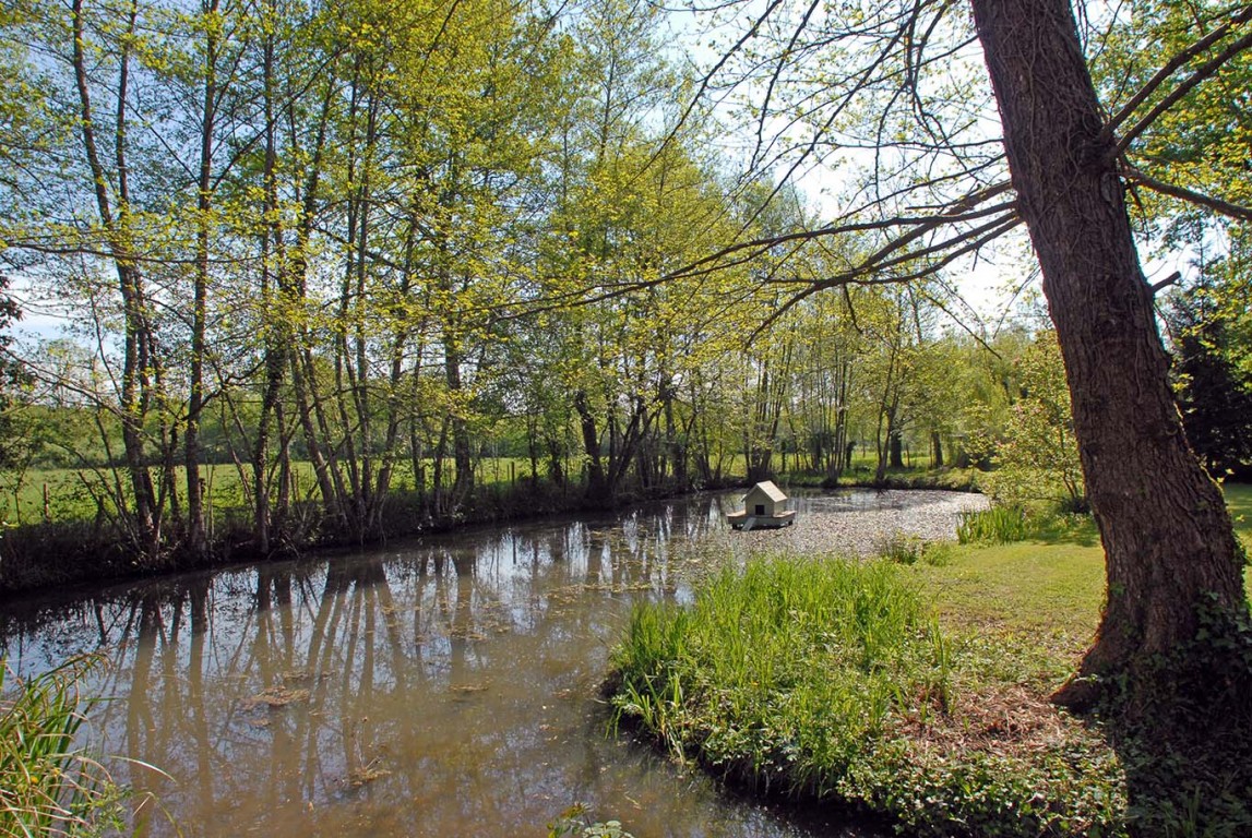 6453 - Saint Vincent de Jalmoutiers – Image 15