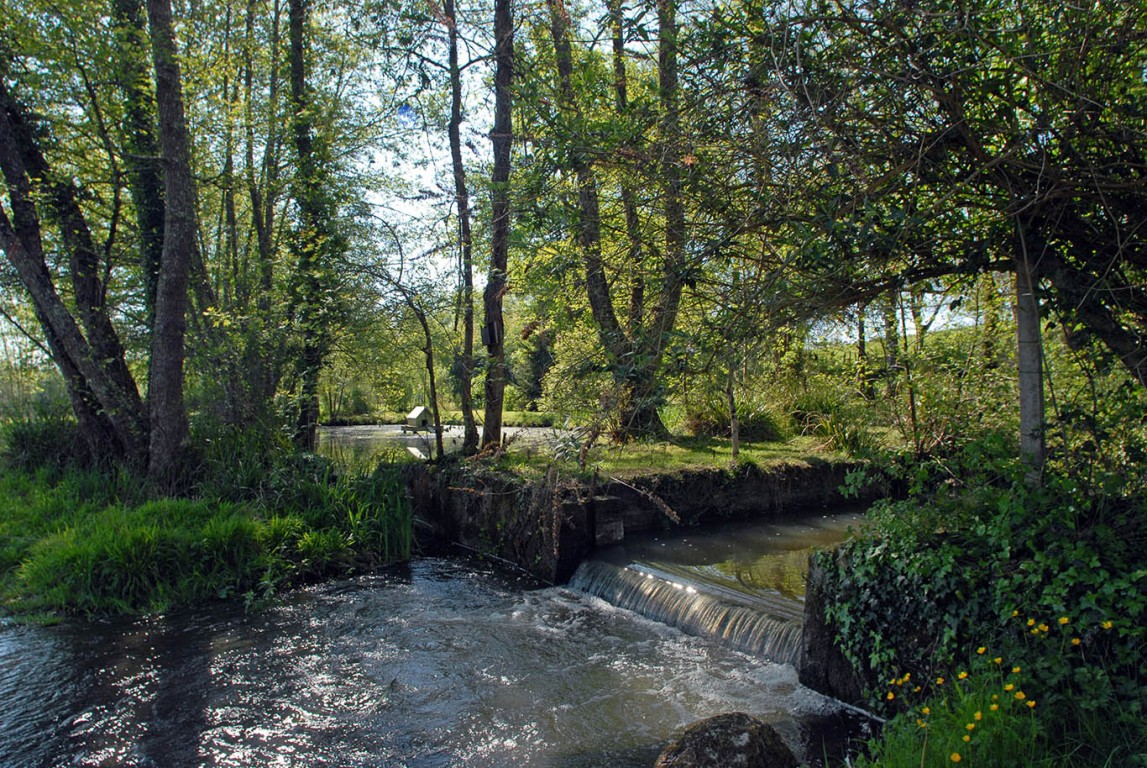 6453 - Saint Vincent de Jalmoutiers – Image 43
