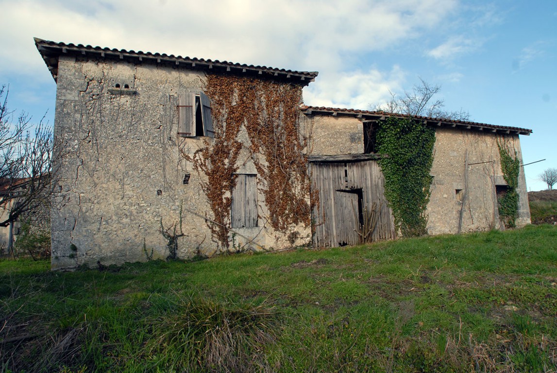 6490 - Celles – Image 3
