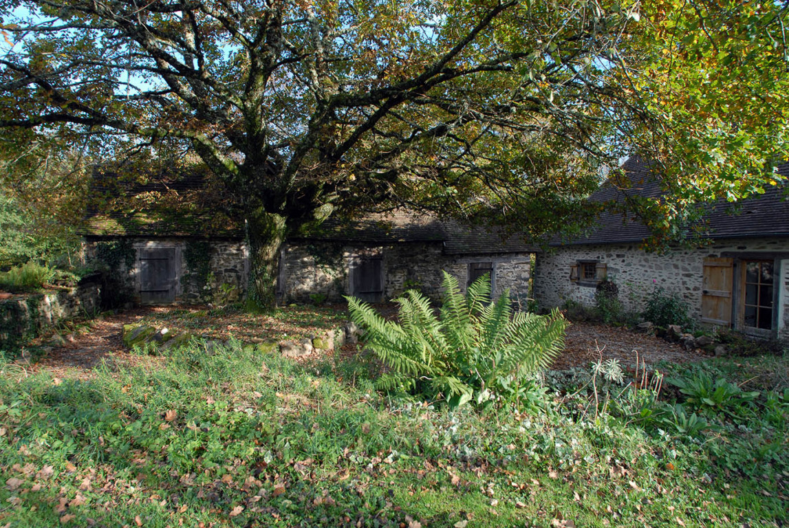 6517 - Jumilhac Le Grand – Image 25